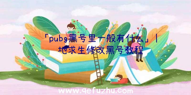 「pubg黑号里一般有什么」|绝地求生修改黑号教程